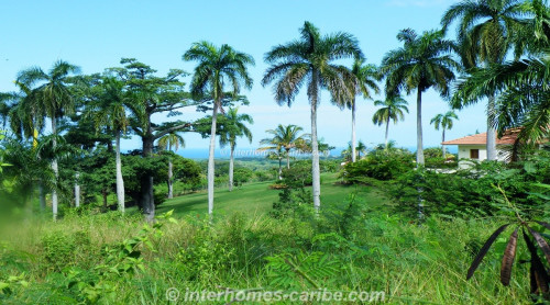 photos for SOSUA: LOT PALM GARDEN 1 590 M2